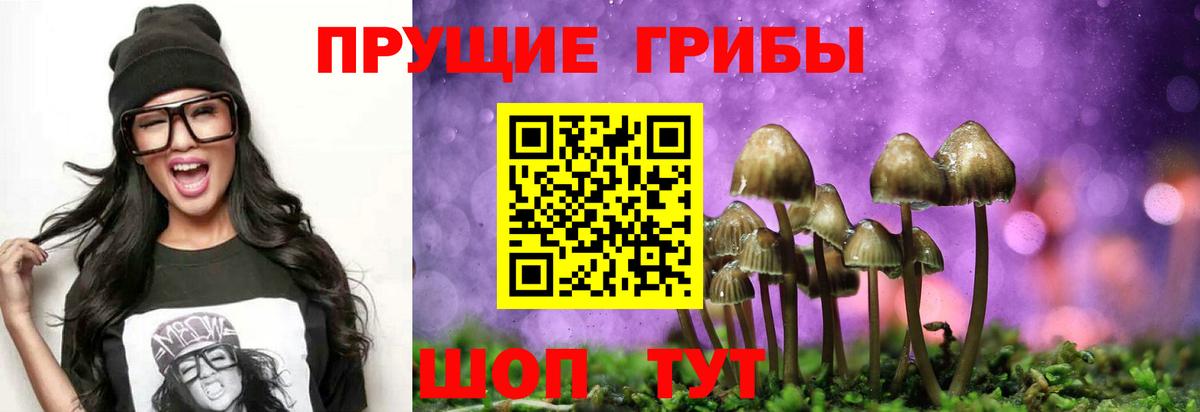 Лабинск  Галлюциногенные грибы Psilocybine cubensis  Вход с VPN  Псилоцибиновые грибы ЛСД 